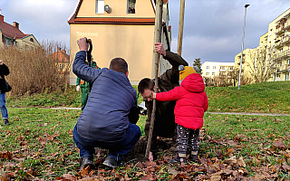 Drzewo na pamiątkę urodzin dziecka. Miasto Elbląg i leśnicy rozpoczęli wspólną akcję